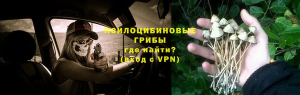 прущие крисы Арсеньев